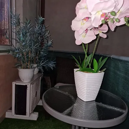 Apartment Jeva *